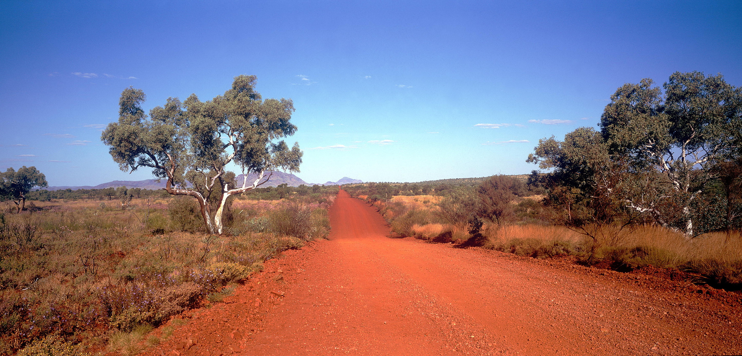 Pilbara, Mount Bruce in Distance
